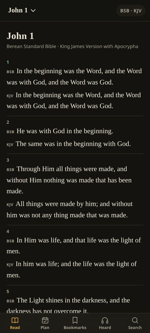 John 1 in the Berean Standard Bible and the King James Version, verse by verse